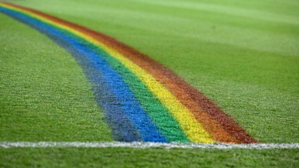 The AFL has punished Max Knobel for making a “highly offensive homophobic slur” in a VFL game.
