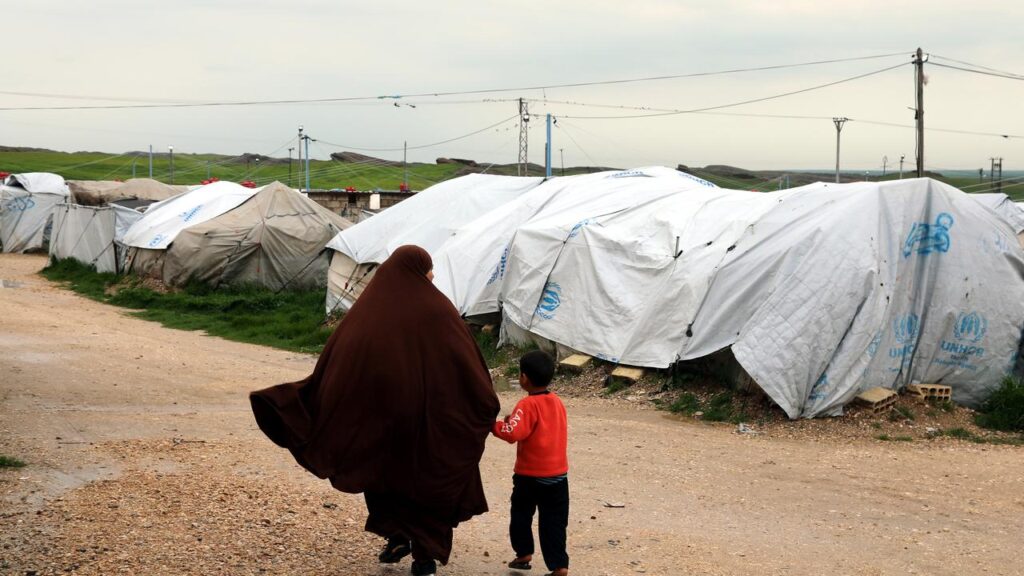 A woman and child returning to Australia was part of a cohort living in a Syrian refugee camp.
