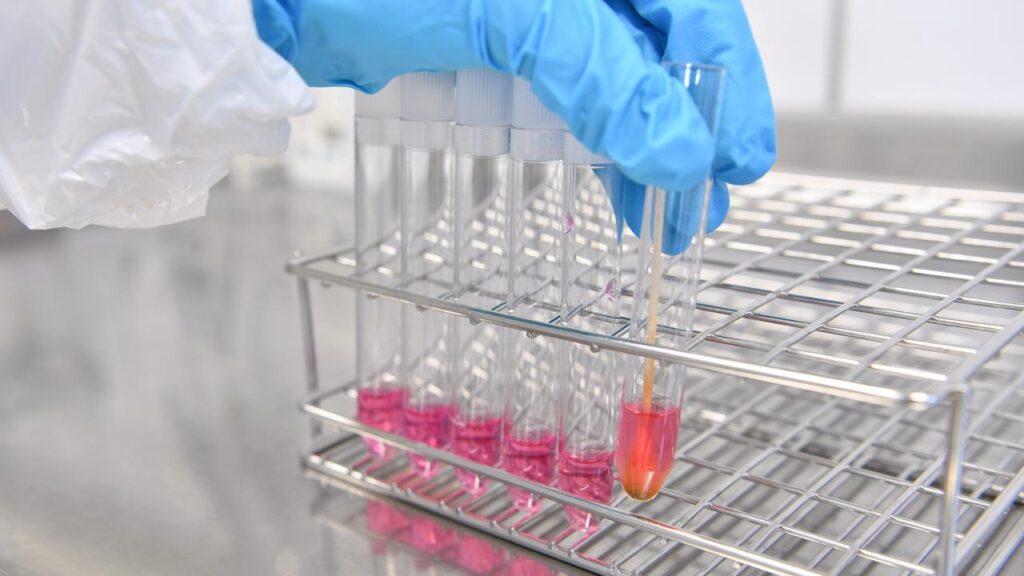 Testing has confirmed the deadly H5N1 strain of bird flu has been detected on mainland Australia.
