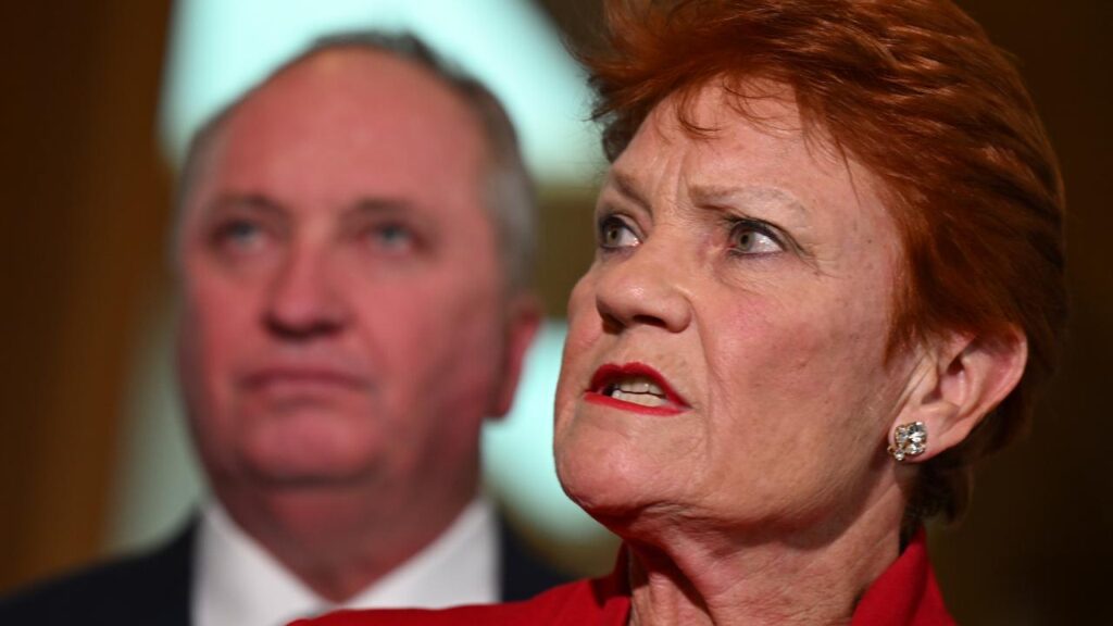 One Nation says its housing policy won’t be “kicking permanent residents out of their house”.
