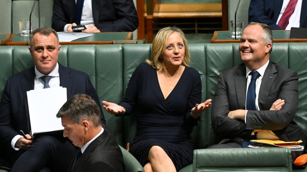 Opposition colleagues have dismissed Melissa McIntosh’s call for the Liberal Party to be overhauled.
