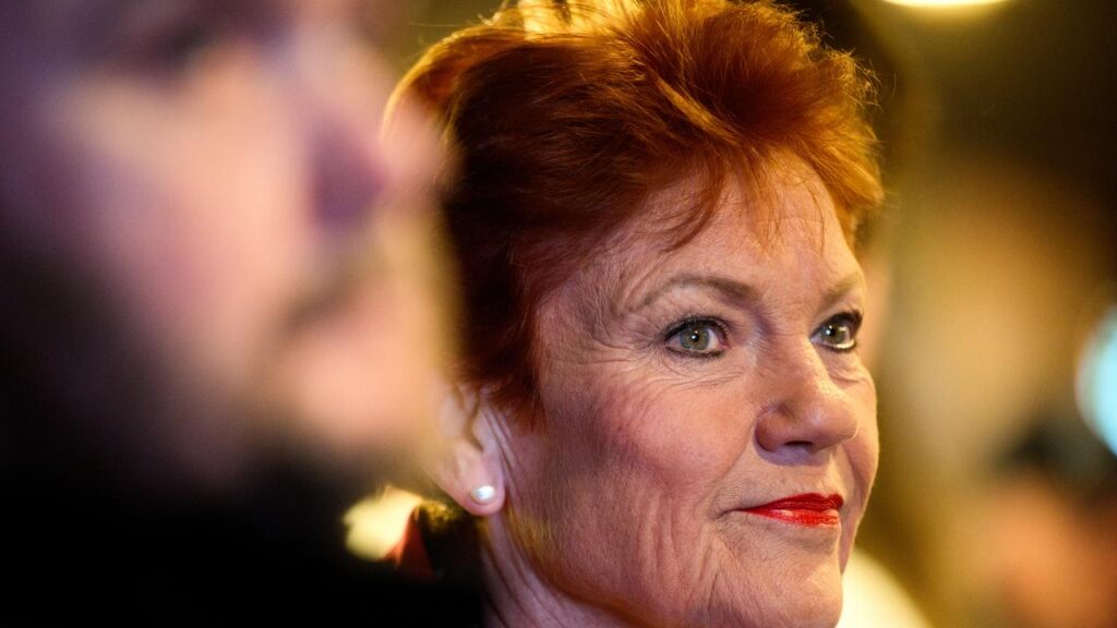 Pauline Hanson says One Nation MPs could form a competent cabinet if her party won government.
