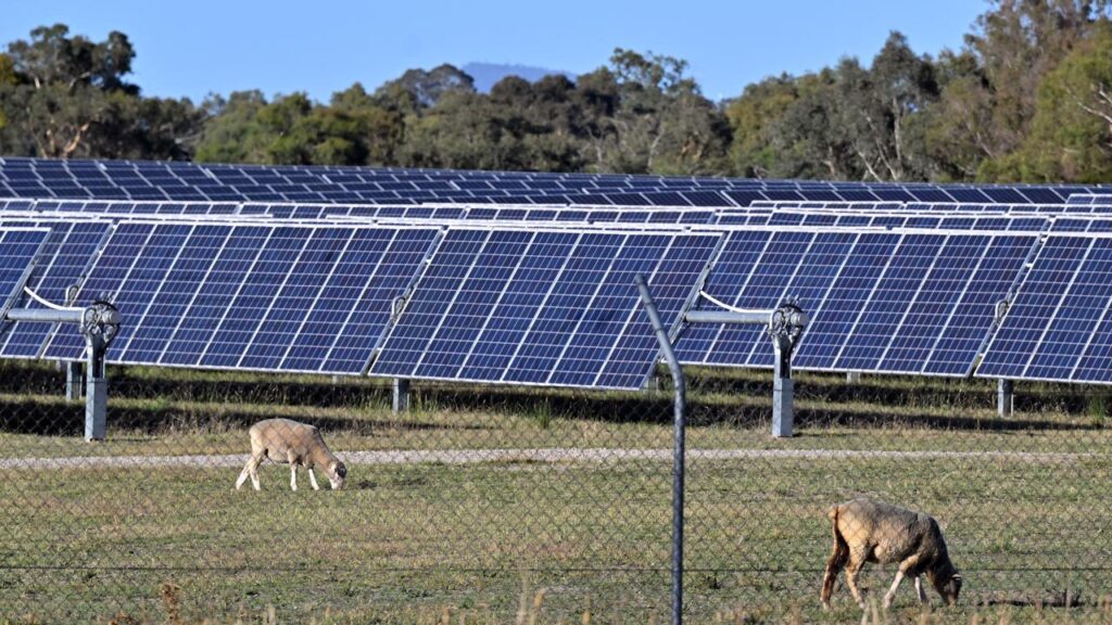 The planning system is a bottleneck for renewable projects, with some taking years for approval.
