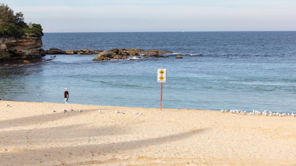 All of Sydney’s eastern beaches were closed on Sunday after a shark attack at Coogee.
