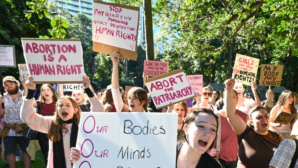 Nurses and midwives have rallied against a planned bid to block early pregnancy medical termination.
