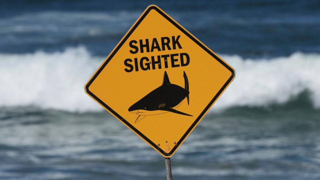 A man who was bitten by a shark was unable to be revived by paramedics.
