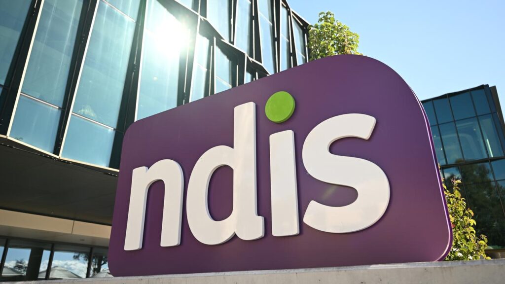 Advocates have aired concerns about the government’s proposed NDIS changes at a senate inquiry.
