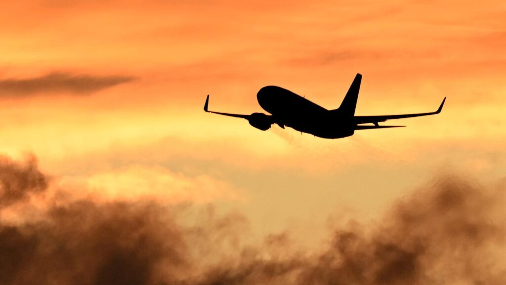 Airlines have pledged to use low-carbon fuels, but production figures have been disappointing.
