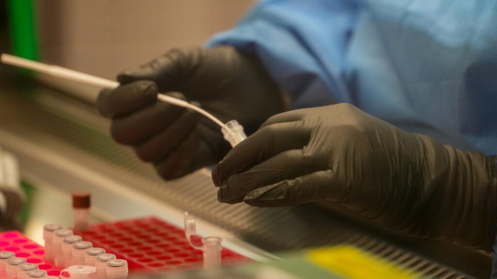 Forensic Science Queensland was established in 2023 after two inquiries exposed major lab failings.
