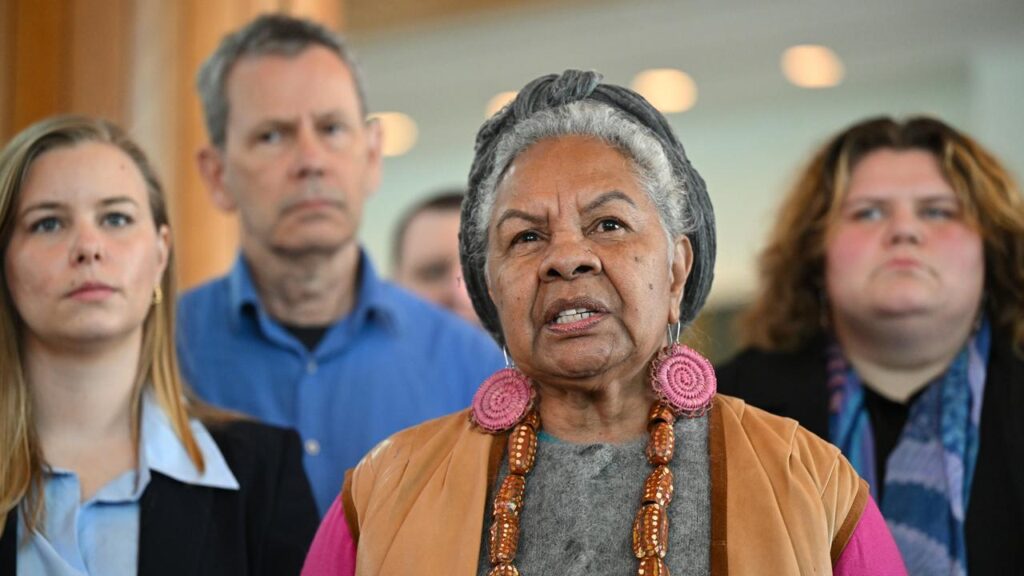 Traditional Owner Anne Poelina says coal and gas project approvals put people at risk.
