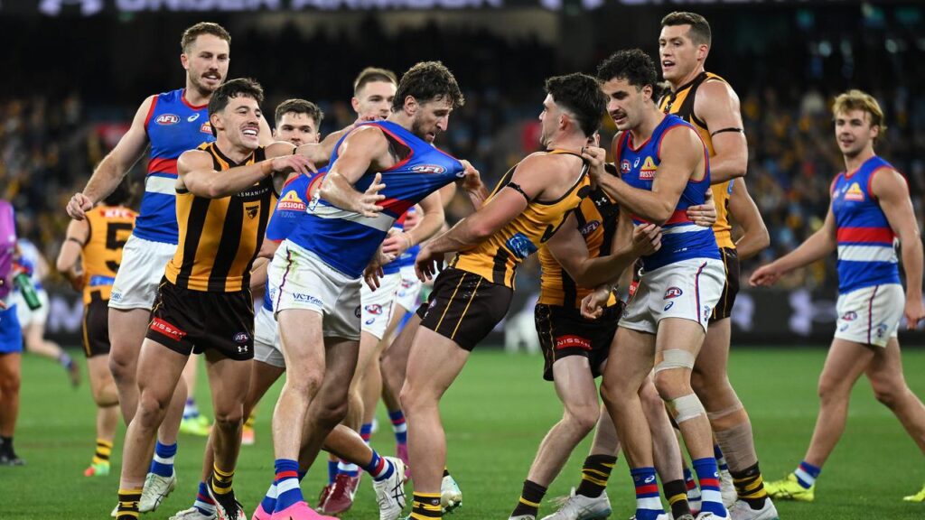 Hawks’ Jai Newcombe and Bulldogs’ Marcus Bontempelli scuffle in the hard-fought MCG clash.
