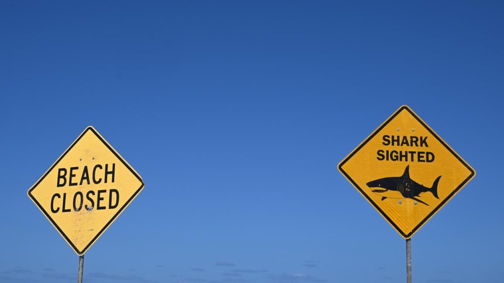 A woman has been airlifted to hospital after a shark attack at a beach in Sydney.
