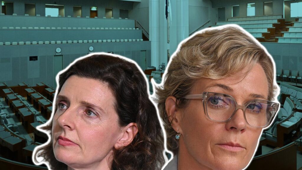 Zali Steggall and Allegra Spender have announced the formation of Community Strong Australia.

