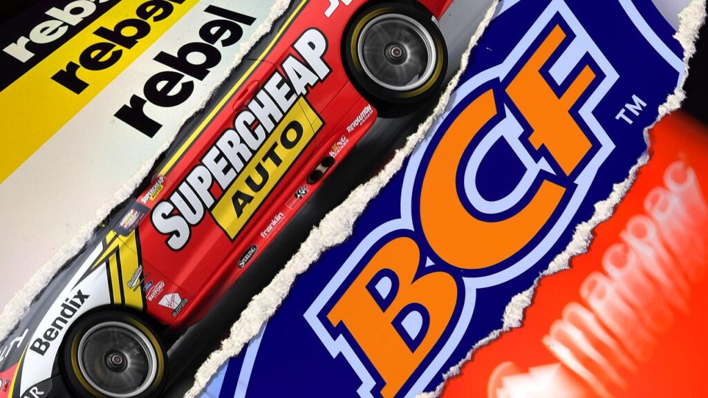 Super Retail Group says all its major brands have ample room for growth.
