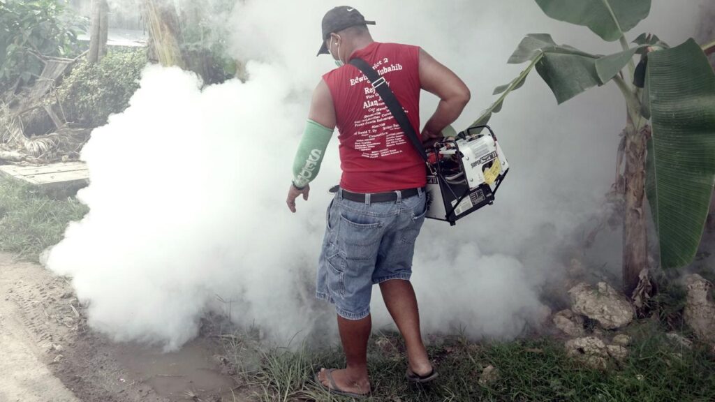More than 20,000 cases of dengue fever have swept through at least 10 Pacific Island countries.
