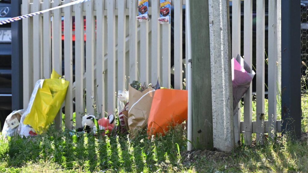 The mental impairment of a woman accused of murdering her two children is being discussed in court.
