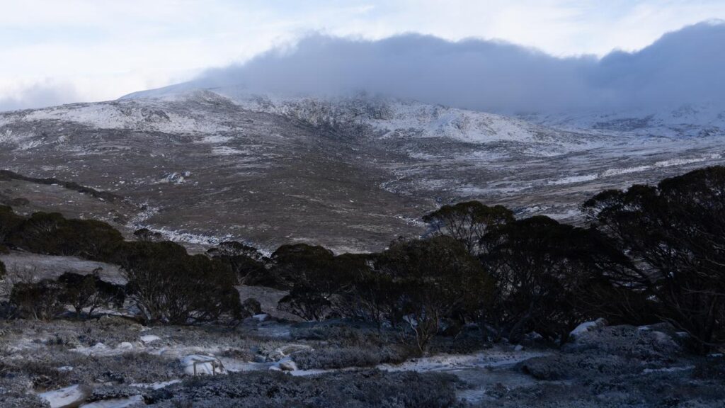With zero base cover so far, Australia is experiencing one of its worst ski season starts on record.
