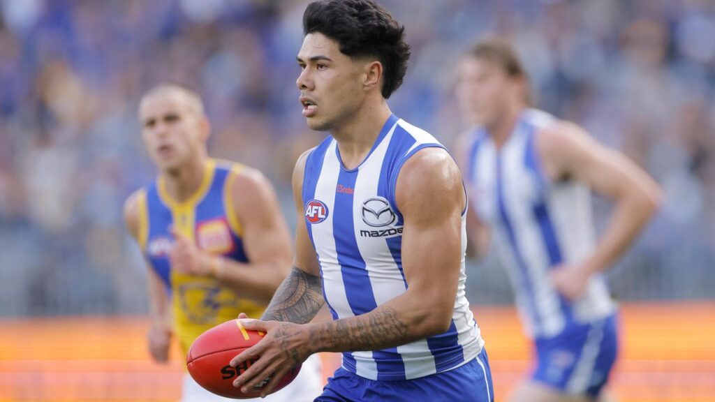 North Melbourne’s Paul Curtis has failed in his bid to overturn a three-game rough conduct ban.
