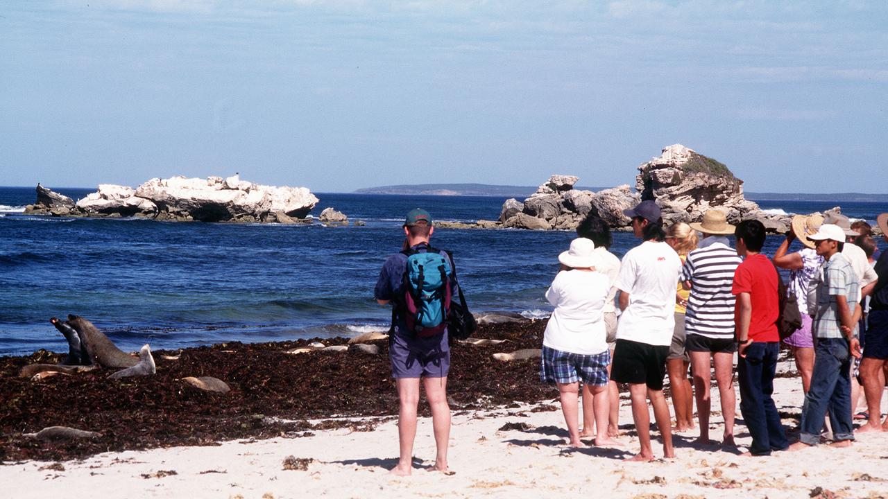 KANGAROO ISLAND