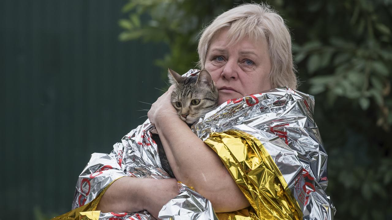A Kyiv woman and cat 