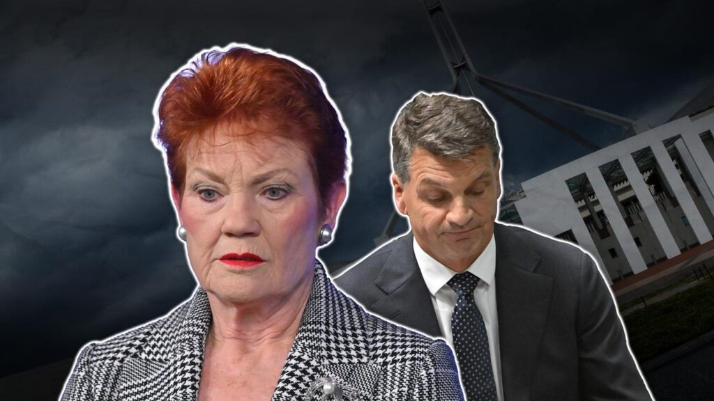 The rise in polls for Pauline Hanson’s One Nation has been causing headaches for Angus Taylor.
