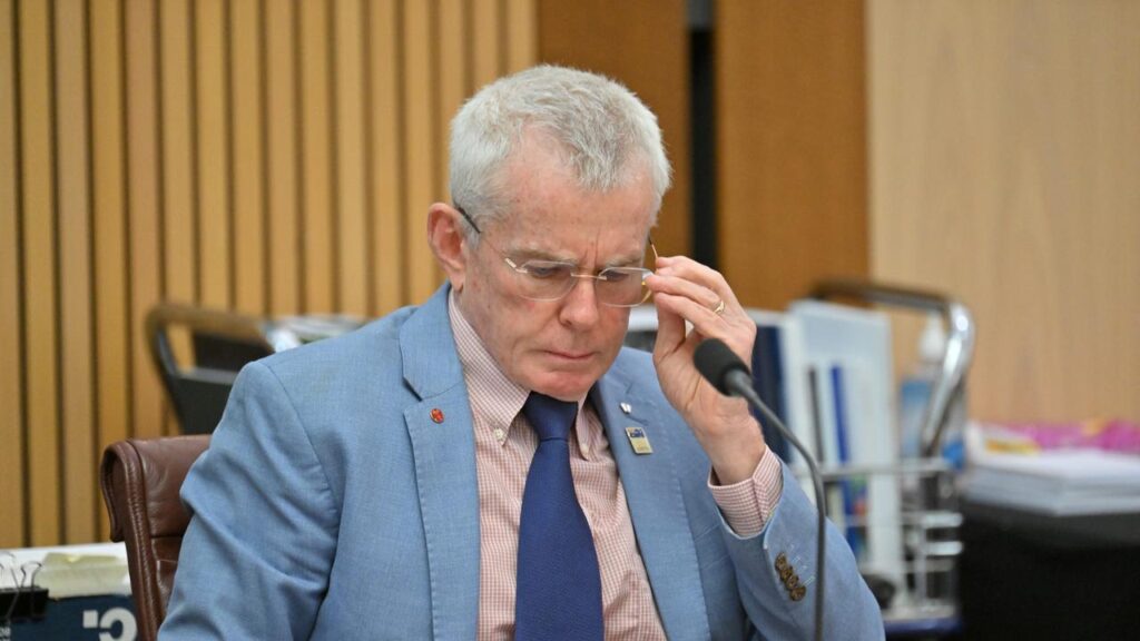 Prime Minister Anthony Albanese accuses Senator Malcolm Roberts of promoting conspiracy theories.
