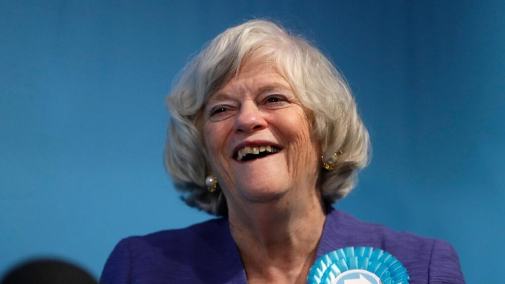 Ann Widdecombe’s death raises questions about the security of those in public life, a minister says.
