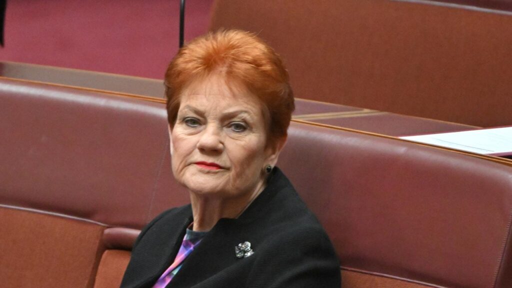 Pauline Hanson is responsible for making sure One Nation’s legal requirements are met in Queensland.
