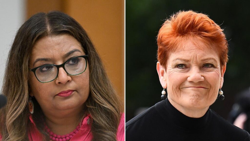 Greens Senator Mehreen Faruqi is defending her Federal Court victory over Senator Pauline Hanson.
