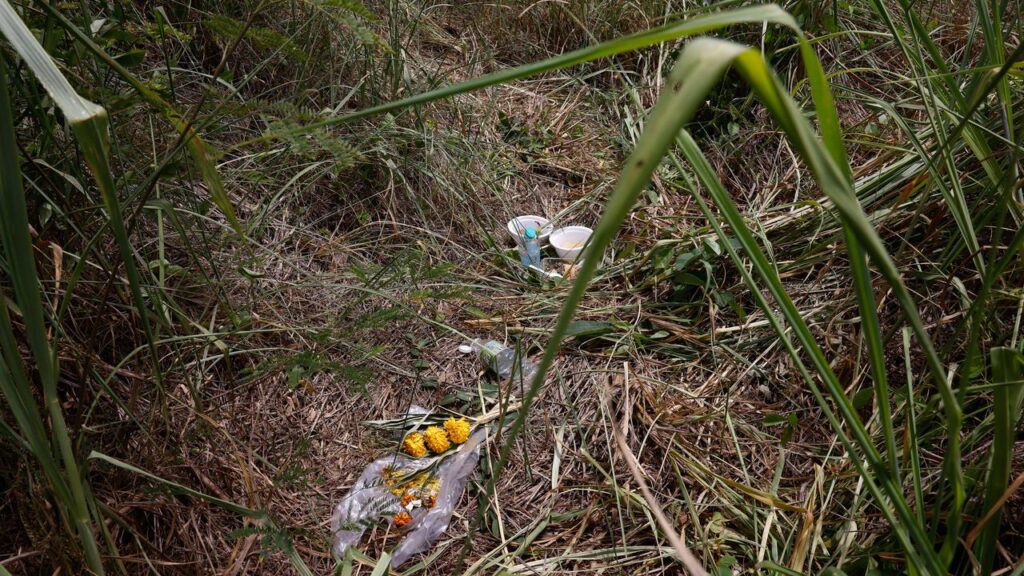 Flowers and bowls of food have been left at the site where the body of the Thai girl was found.
