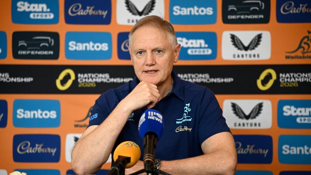 Outgoing Wallabies mentor Joe Schmidt has no intention to coach another country.
