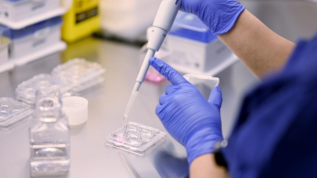New technology developed in Australia is set to modernise IVF procedures.
