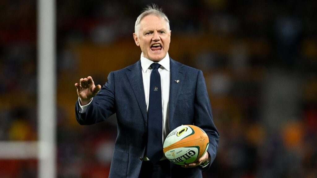 Joe Schmidt hasn’t had much to crow about in recent times and has just one more game left in charge.
