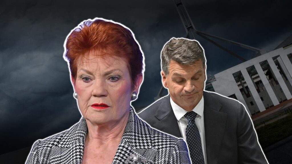 Liberal Leader Angus Taylor wants to regain some voters won over by One Nation’s Pauline Hanson.
