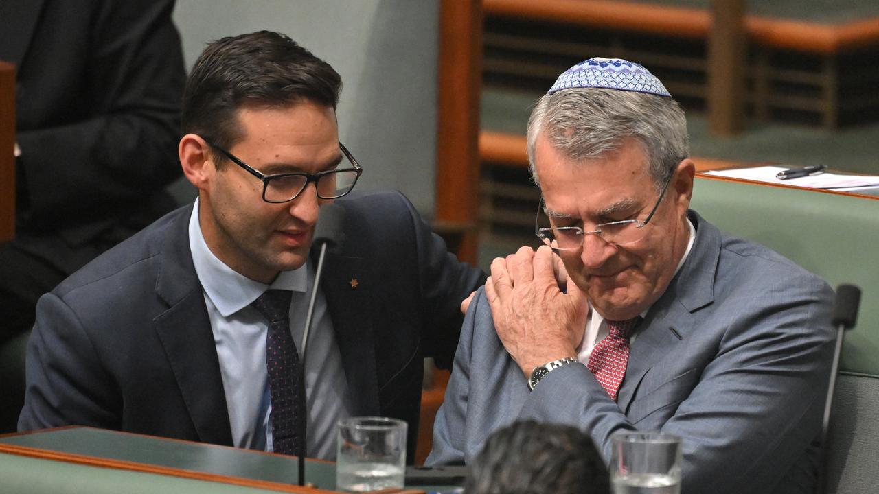 Mark Dreyfus (file image)