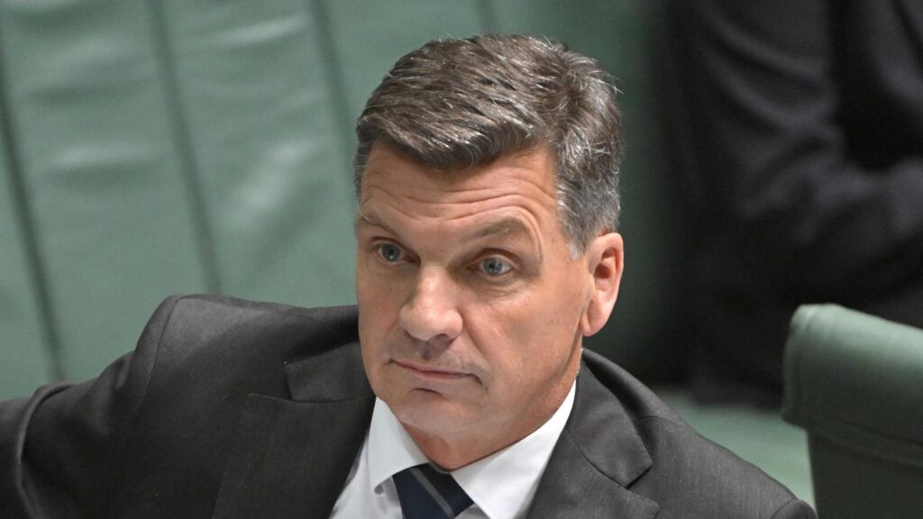 Angus Taylor has denied making payments to the conservative Reformers faction of the Liberal Party.

