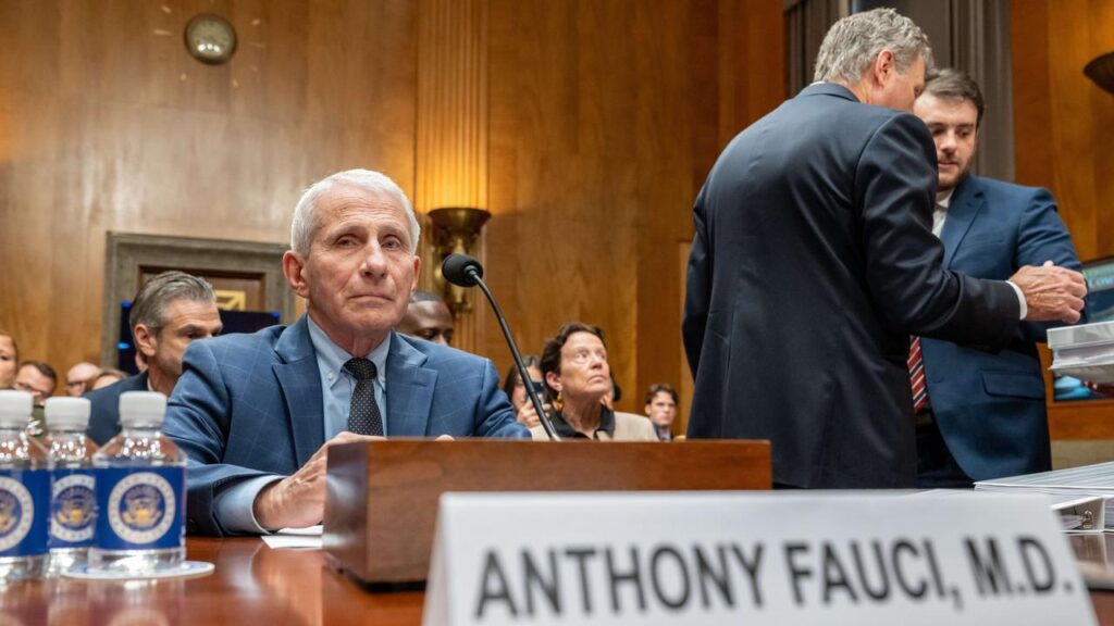 US infectious diseases expert Anthony Fauci says there is an “unhinged” campaign to see him jailed.
