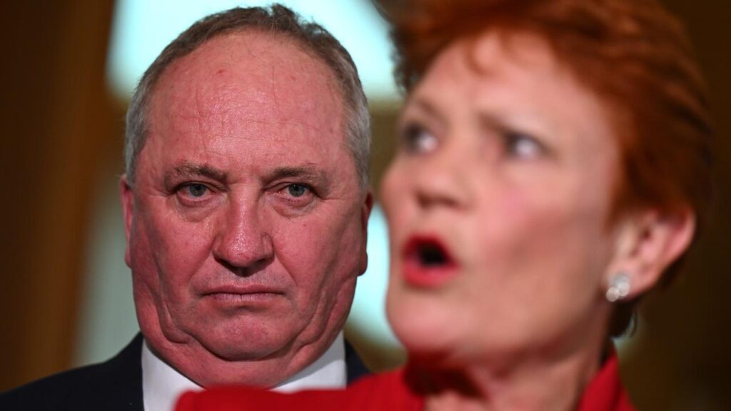 One Nation says it doesn’t have adequate resources to independently cost its policies.

