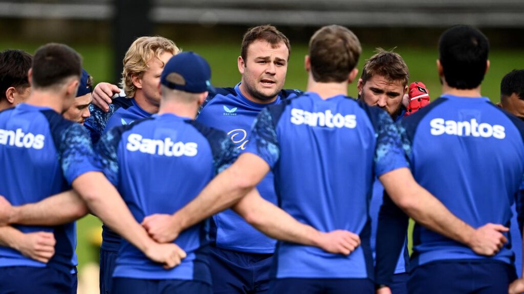 Wallabies captain Harry Wilson wants the team to capitalise on their support and take it to Ireland.

