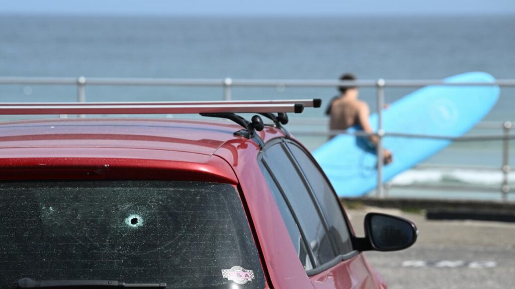 Eyewitnesses to the Bondi attack will have their identities shielded by court order.
