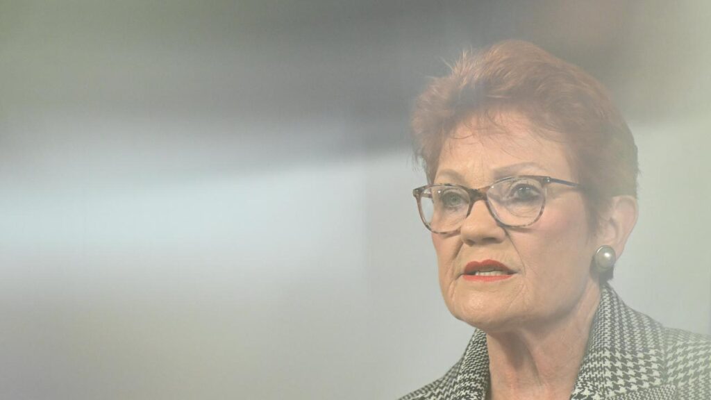 One Nation’s Pauline Hanson has told UK conservatives she’s “sick of hearing about white privilege”.
