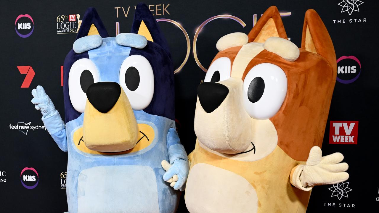 Bluey and Bingo (file image)