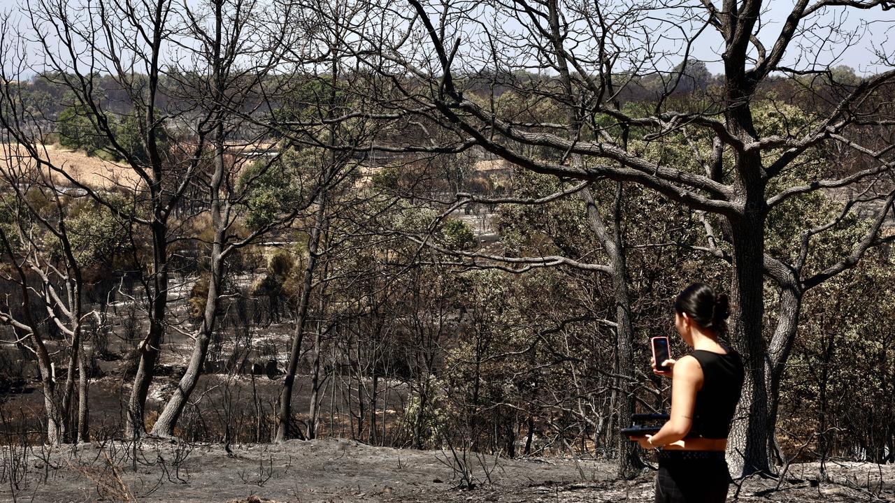 Crews halt spread of wildfire