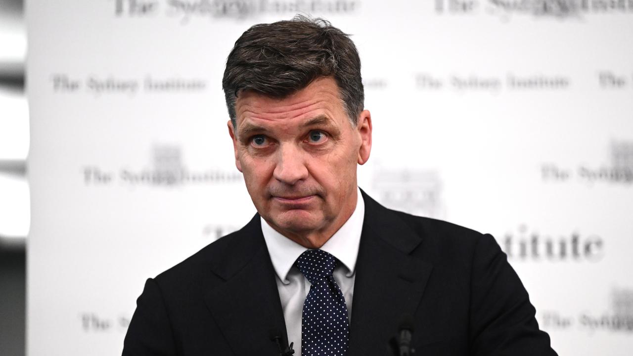 Opposition Leader Angus Taylor (file image)