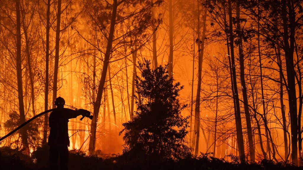 In France, fires have ravaged the Cap Ferret peninsula on the Atlantic coast.

