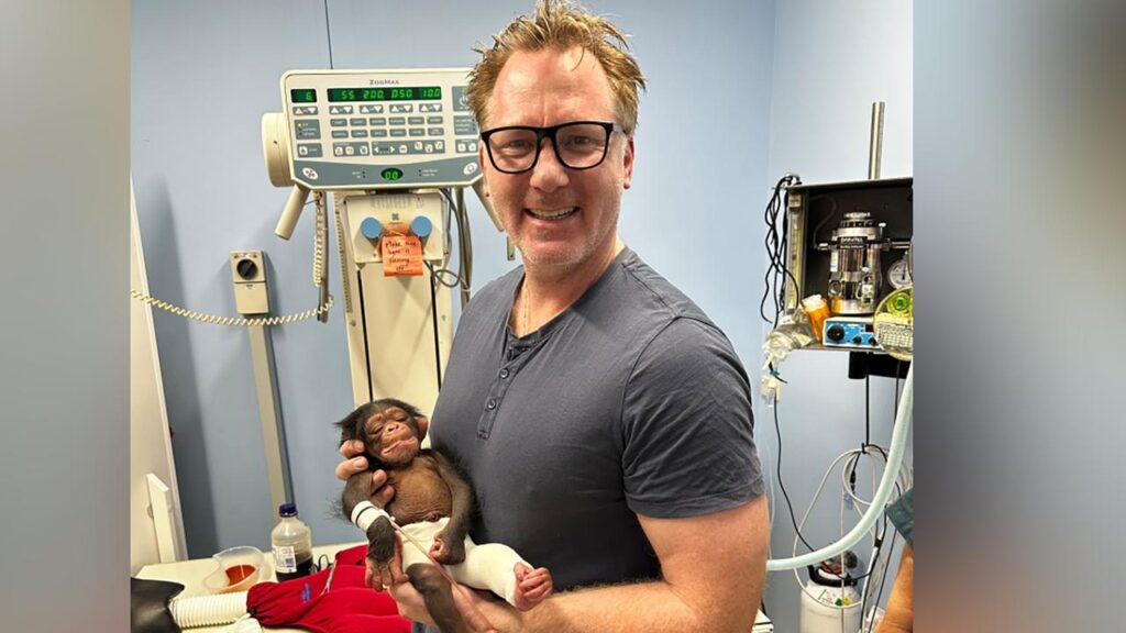 Orthopaedic surgeon David Wheatley has come to the rescue of a newborn chimp with a broken leg.
