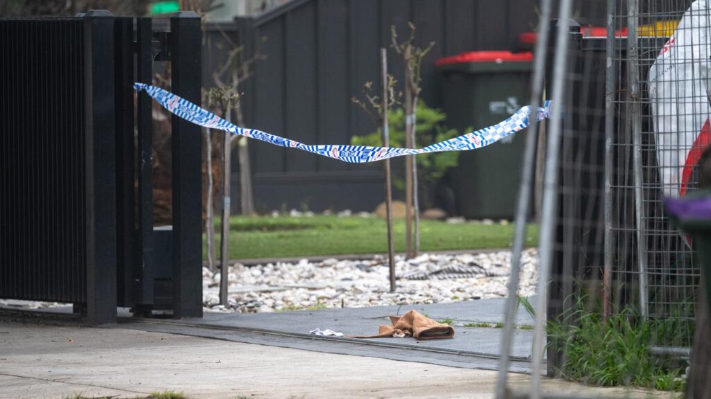 Alleged crime boss Fadi Haddara is fighting for his life after being shot outside his home.
