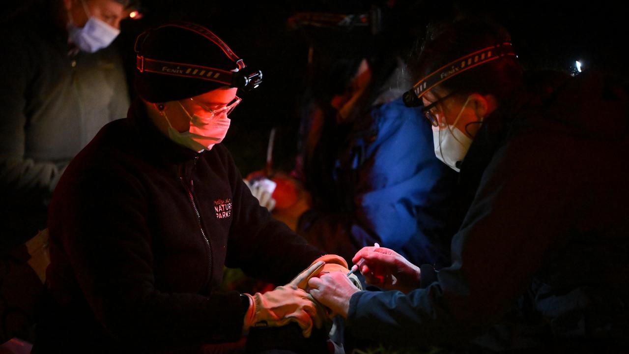 Members of the vaccination operations team