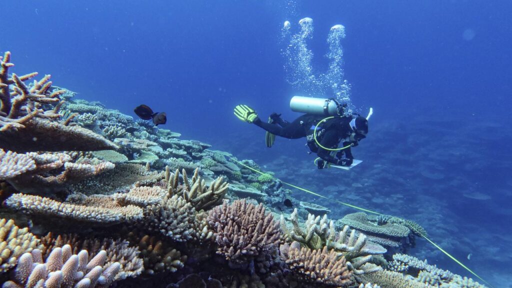 A report card details the results of projects designed to clean up reef catchments over three years.

