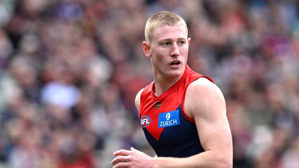 Melbourne will be without Jacob van Rooyen for their next three games due to a striking ban.
